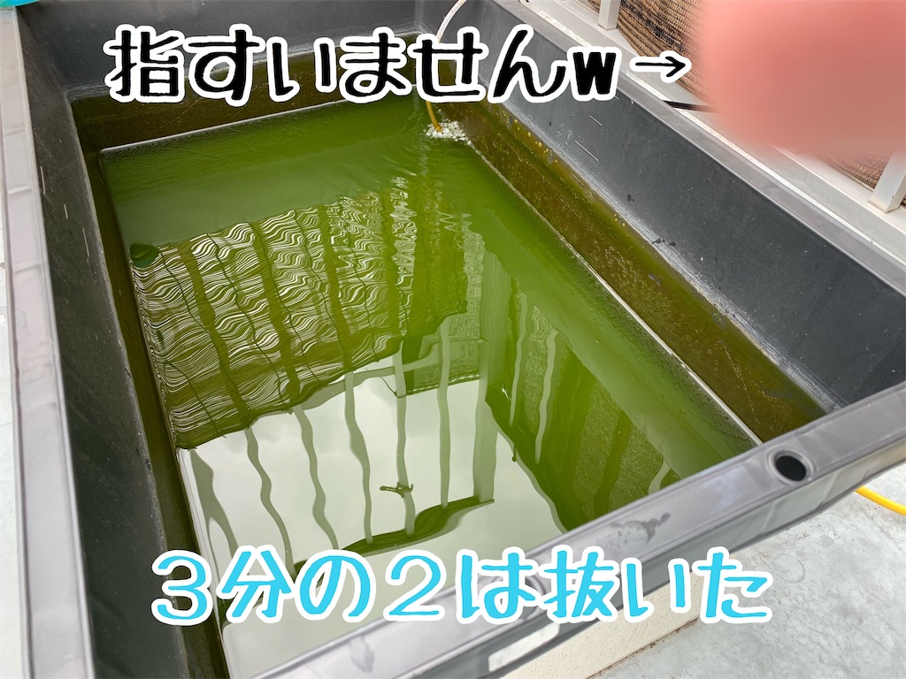 f:id:kazu-ranchu:20191009191325j:image