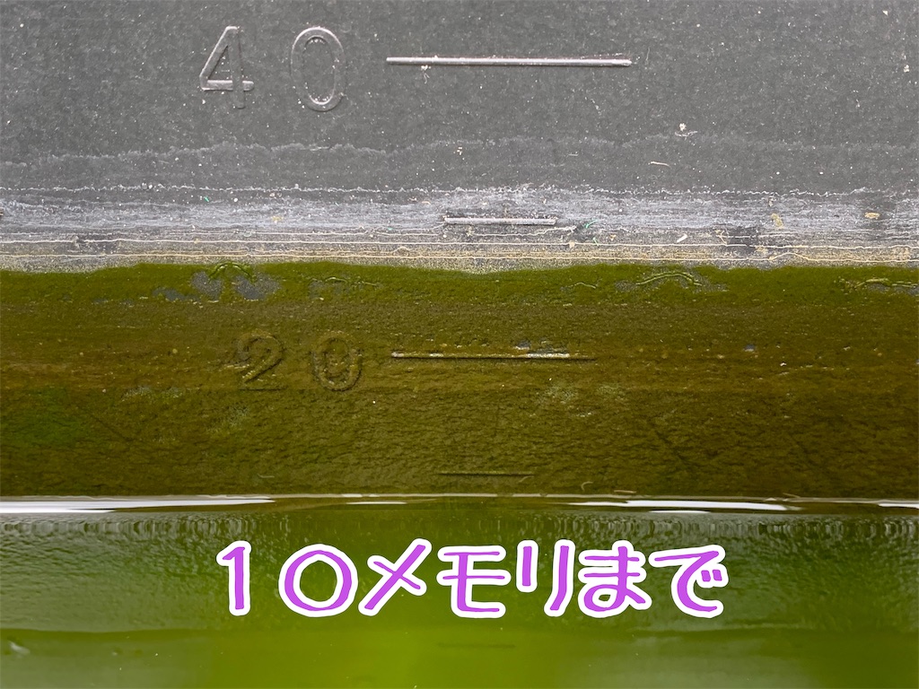 f:id:kazu-ranchu:20191009191339j:image