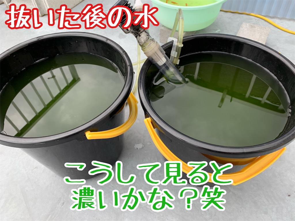 f:id:kazu-ranchu:20191009191508j:image