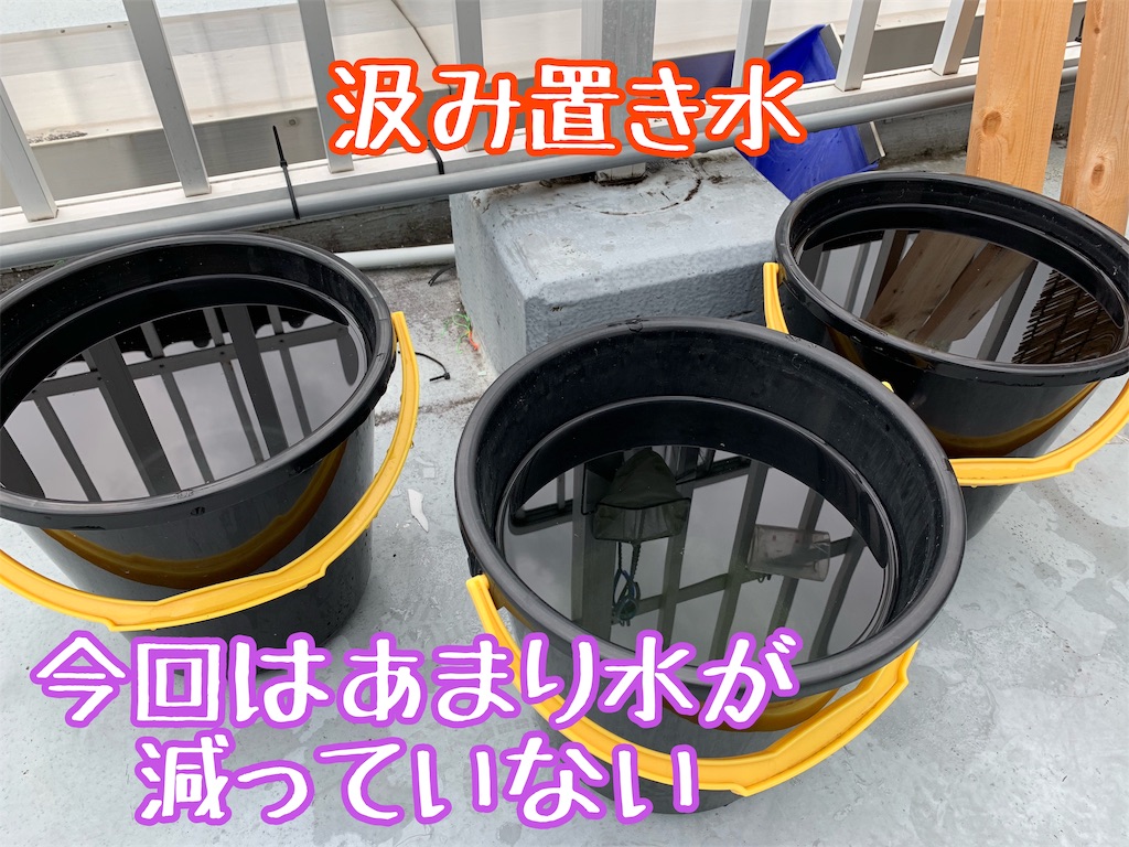f:id:kazu-ranchu:20191009191707j:image
