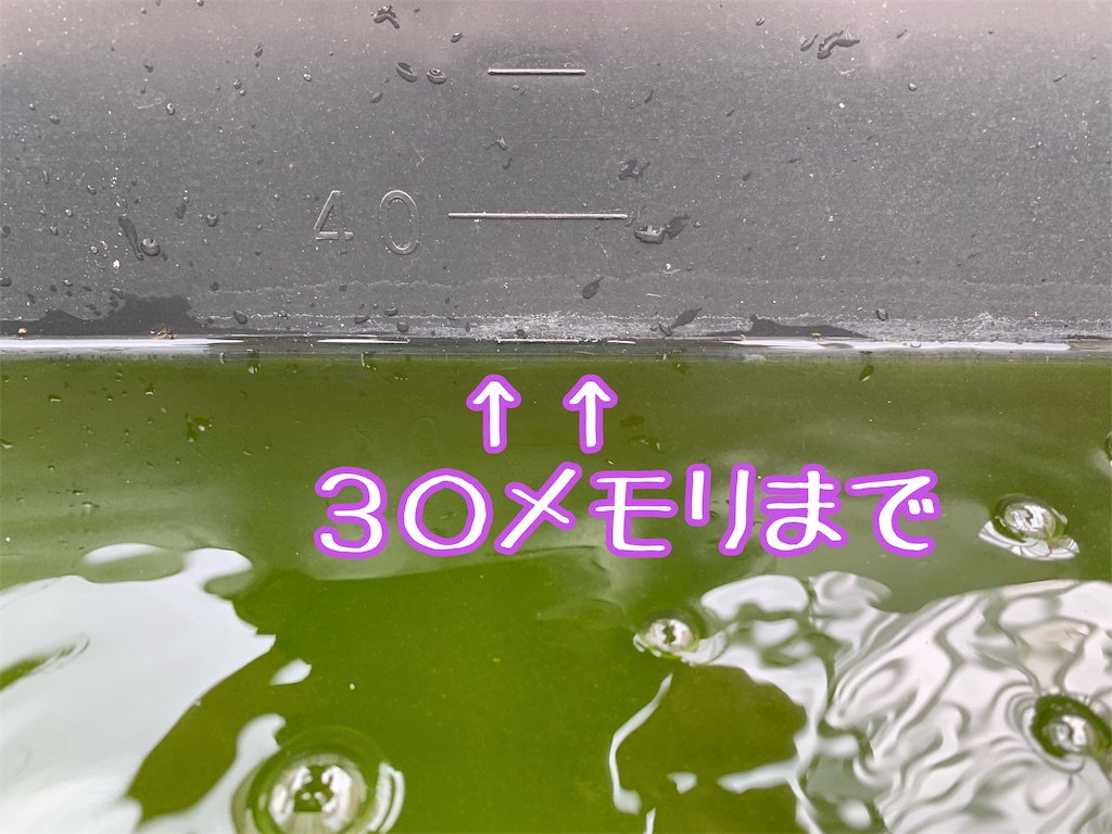 f:id:kazu-ranchu:20191009192515j:image