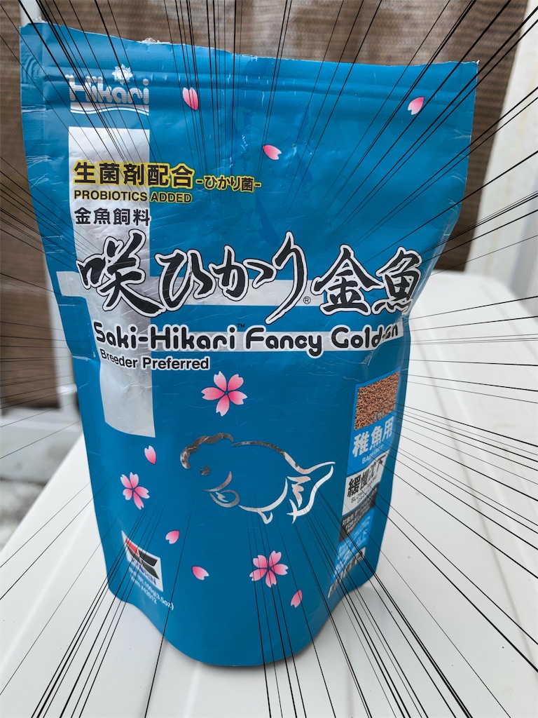 f:id:kazu-ranchu:20191009192839j:image