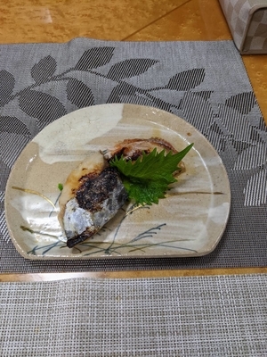 f:id:kazu0219:20210202052030j:plain