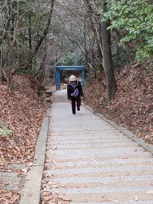 f:id:kazu0219:20210202052236j:plain