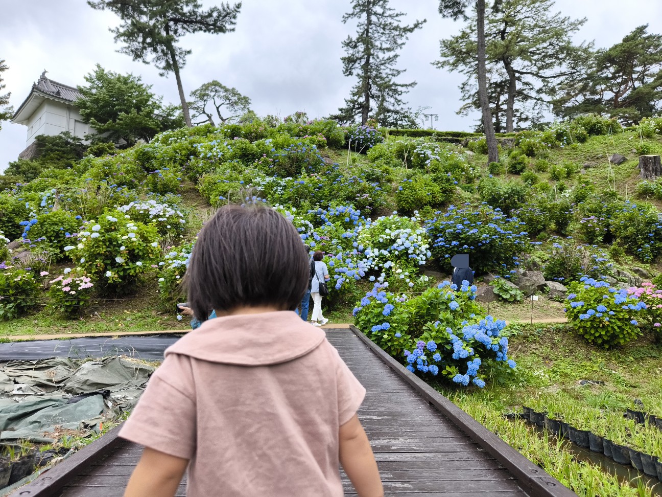 f:id:kazu04231984:20260606095714j:image
