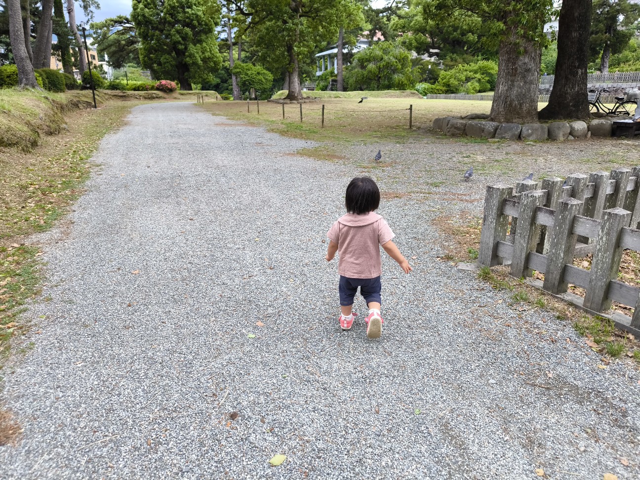 f:id:kazu04231984:20260606095744j:image