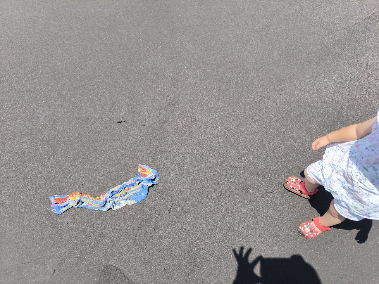 f:id:kazu04231984:20260715164731j:image