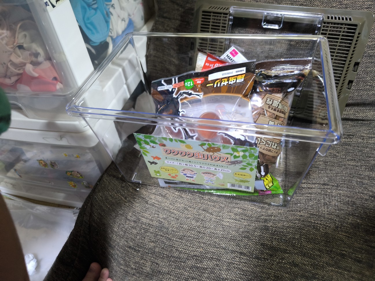 f:id:kazu04231984:20260727175714j:image f:id:kazu04231984:20260727175714j:image