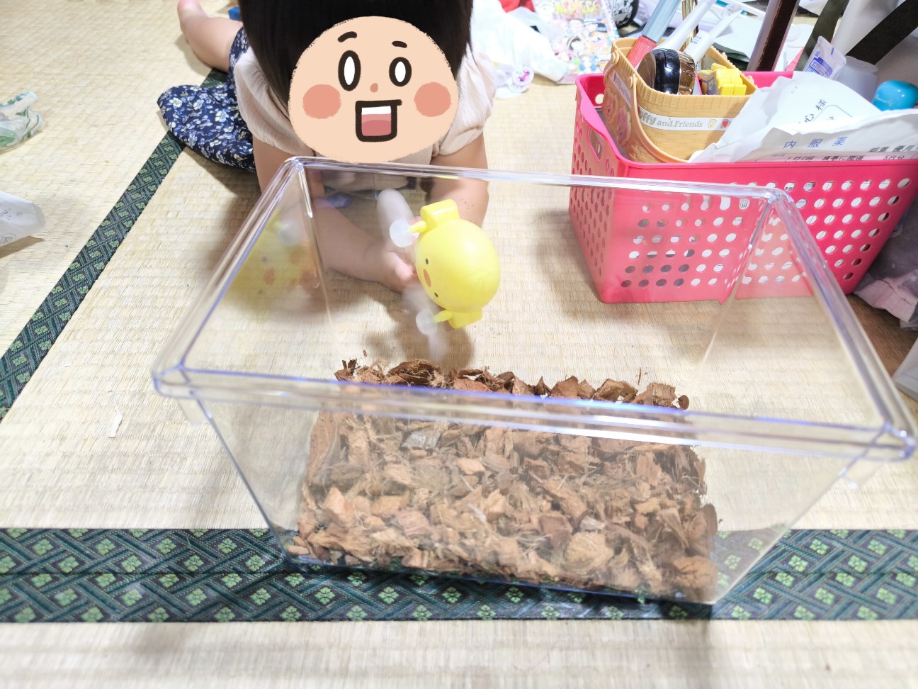 f:id:kazu04231984:20260727175851j:image f:id:kazu04231984:20260727175851j:image