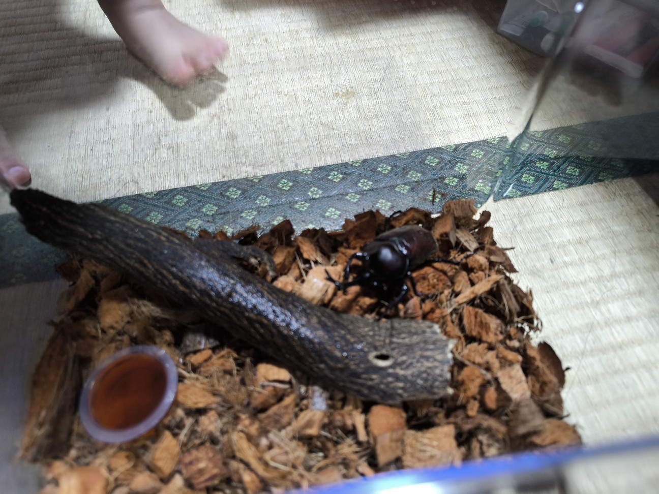 f:id:kazu04231984:20260727180029j:image f:id:kazu04231984:20260727180029j:image