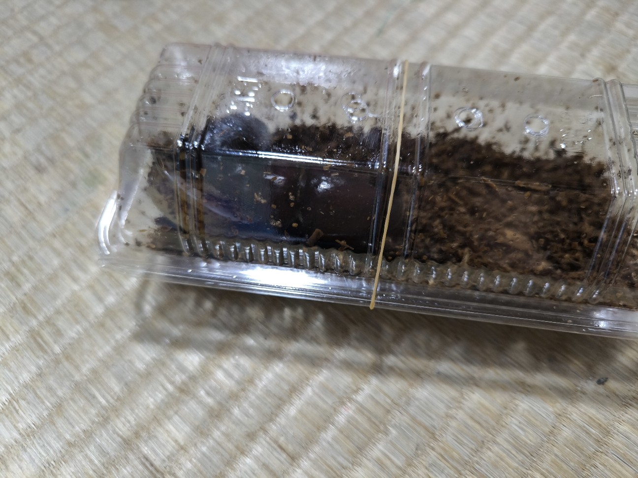 f:id:kazu04231984:20260731145548j:image