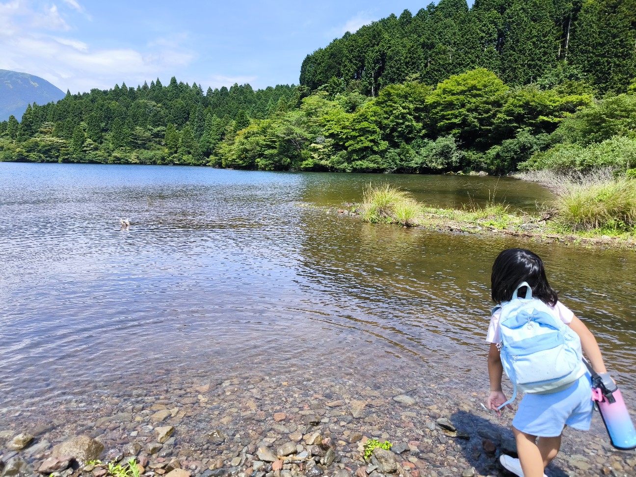 f:id:kazu04231984:20260808205859j:image