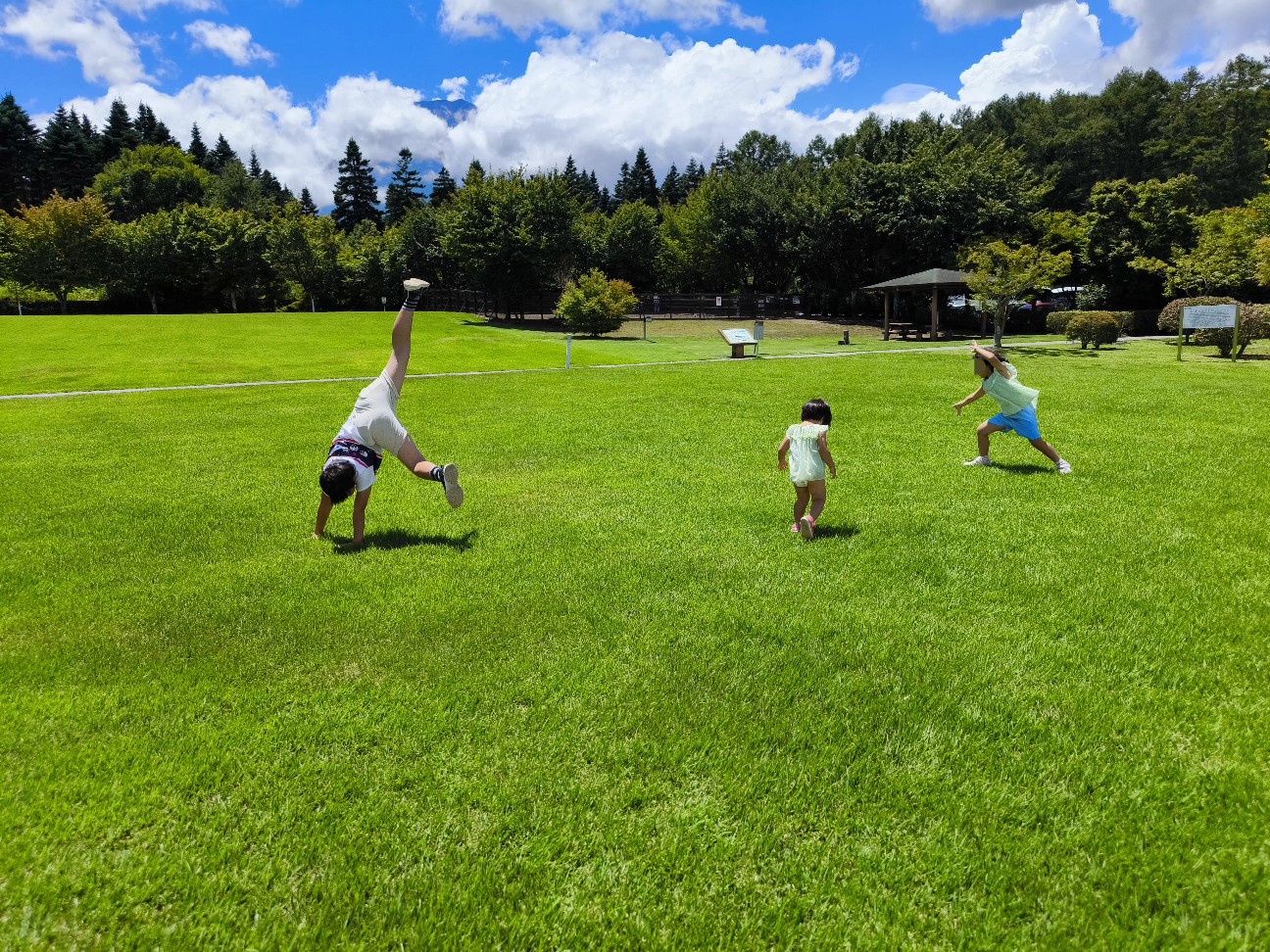 f:id:kazu04231984:20260815235532j:image f:id:kazu04231984:20260815235532j:image