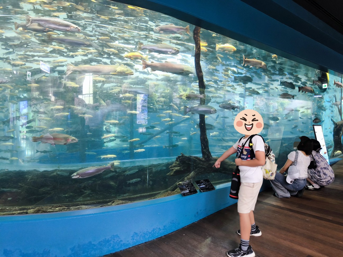 f:id:kazu04231984:20260816212018j:image