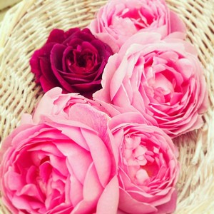 f:id:kazu1700004:20161127153024j:plain