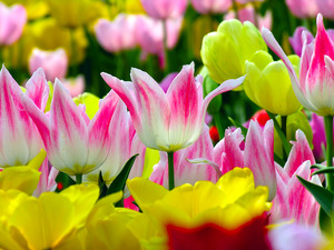 f:id:kazu1700004:20161206142051j:plain f:id:kazu1700004:20161206142051j:plain