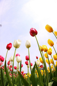 f:id:kazu1700004:20161207085831j:plain f:id:kazu1700004:20161207085831j:plain