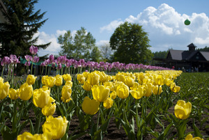 f:id:kazu1700004:20161209153236j:plain f:id:kazu1700004:20161209153236j:plain