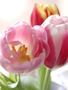 f:id:kazu1700004:20161211122206j:plain