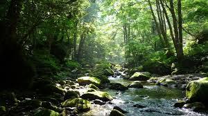 f:id:kazu1700004:20170124113952j:plain