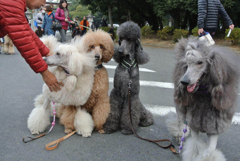 f:id:kazu2176:20140101140514j:image:w360:left f:id:kazu2176:20140101140514j:image:w360:left