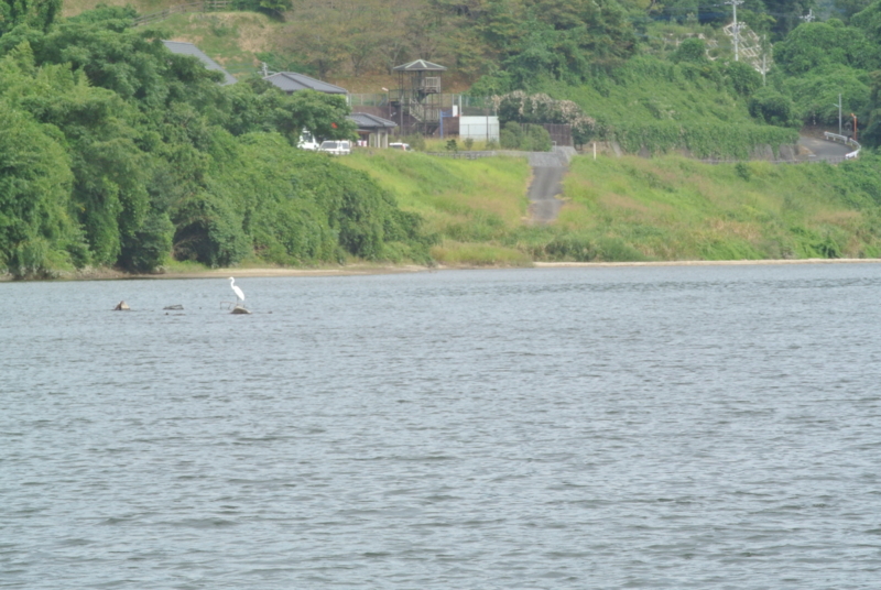 f:id:kazu2176:20140914151841j:image:w360 f:id:kazu2176:20140914151841j:image:w360