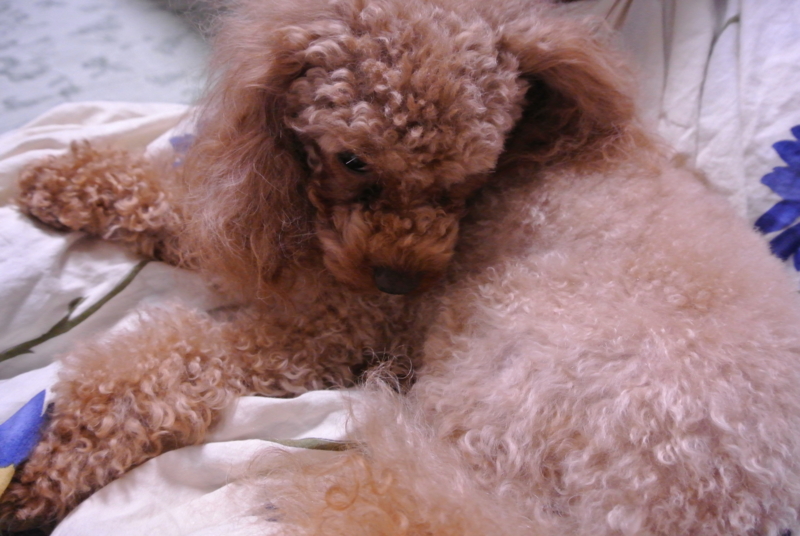 f:id:kazu2176:20141005165449j:image:w360:left f:id:kazu2176:20141005165449j:image:w360:left