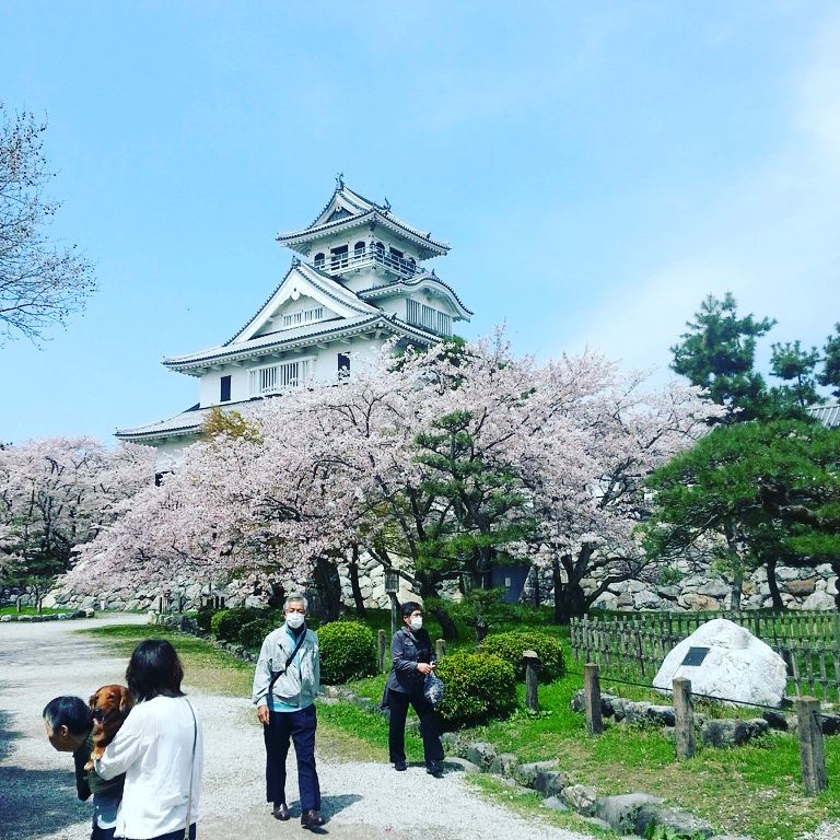 f:id:kazu5210:20170419233411j:plain f:id:kazu5210:20170419233411j:plain