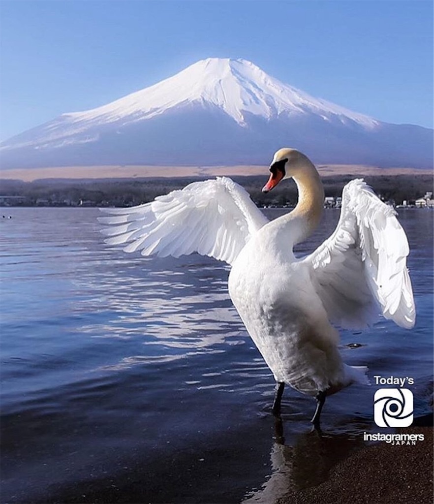 f:id:kazu7804:20180114231814j:image f:id:kazu7804:20180114231814j:image