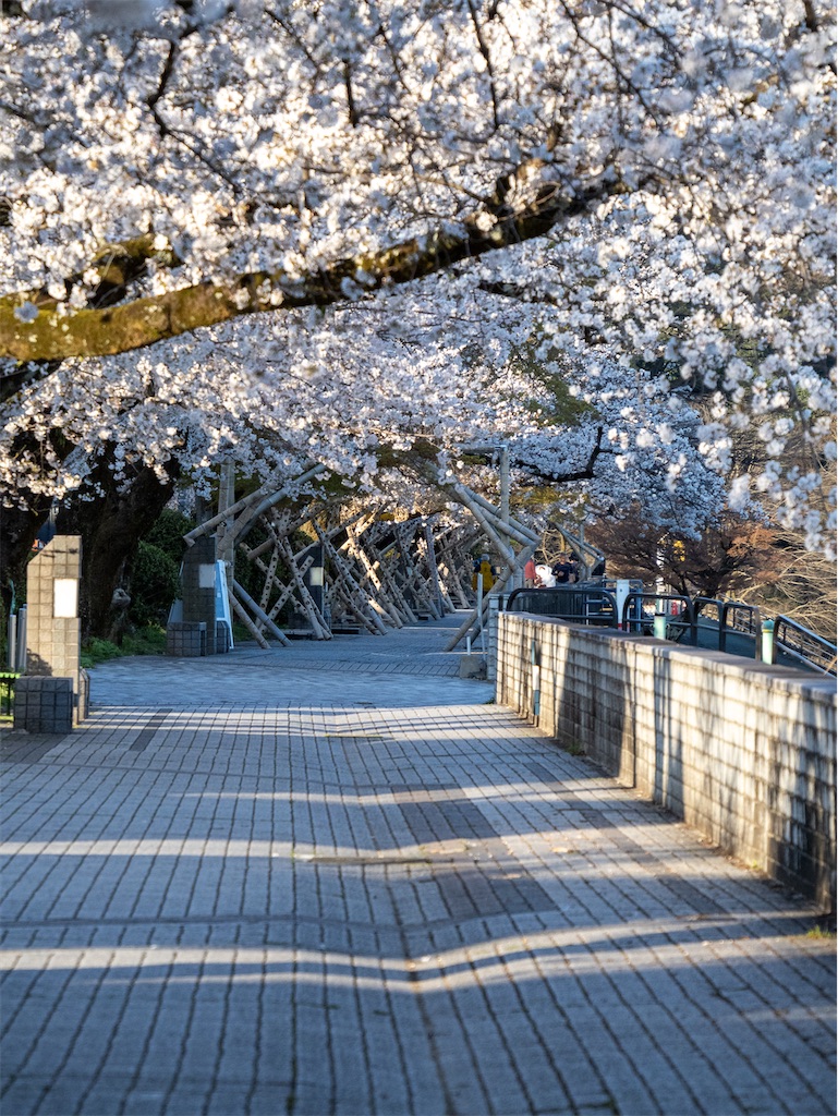 f:id:kazu_ki:20250414023513j:image