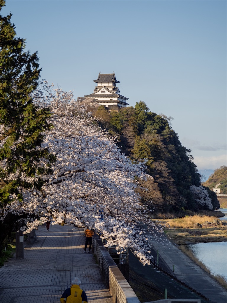 f:id:kazu_ki:20250414024123j:image