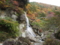 紅葉川渓谷 藤花の滝(山形市)