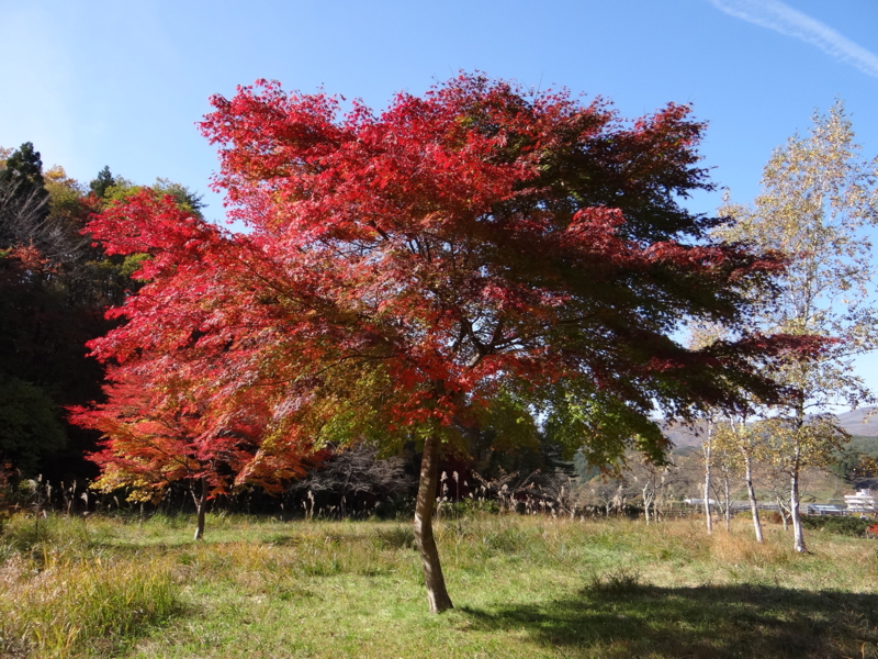 七北田ダム 公園(仙台市)