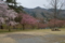 大野ダム(南丹市)