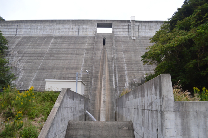 青野大師ダム(南伊豆町)