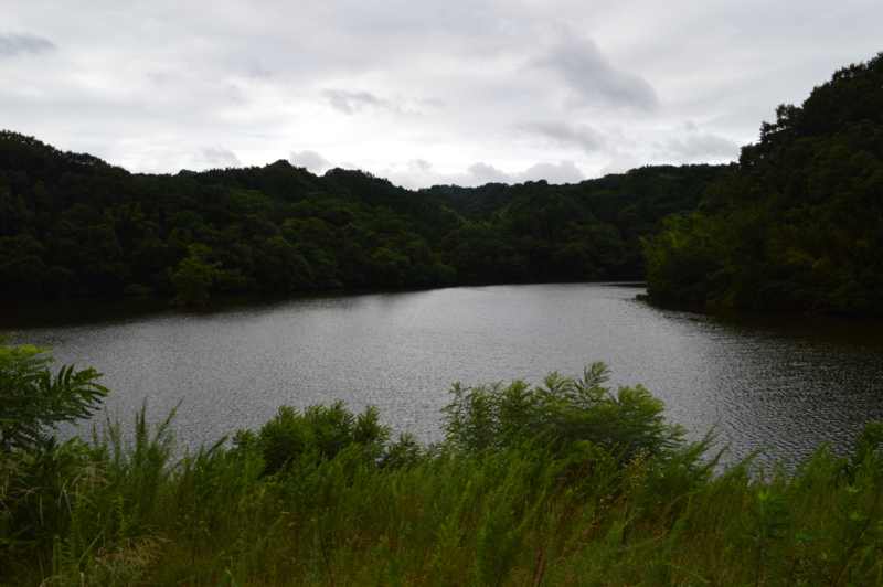 f:id:kazu_ma634:20160827061148j:image:w400