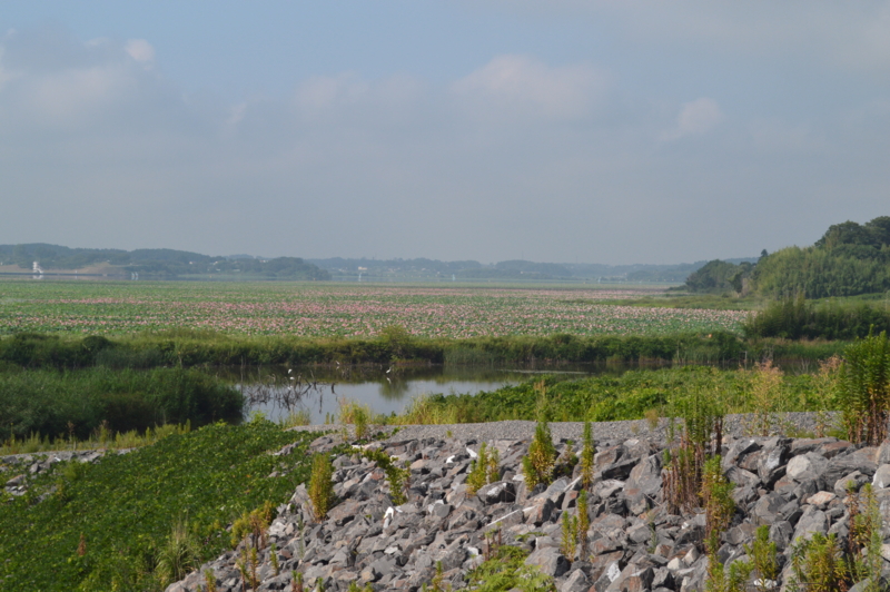 f:id:kazu_ma634:20161003233110j:image:w400