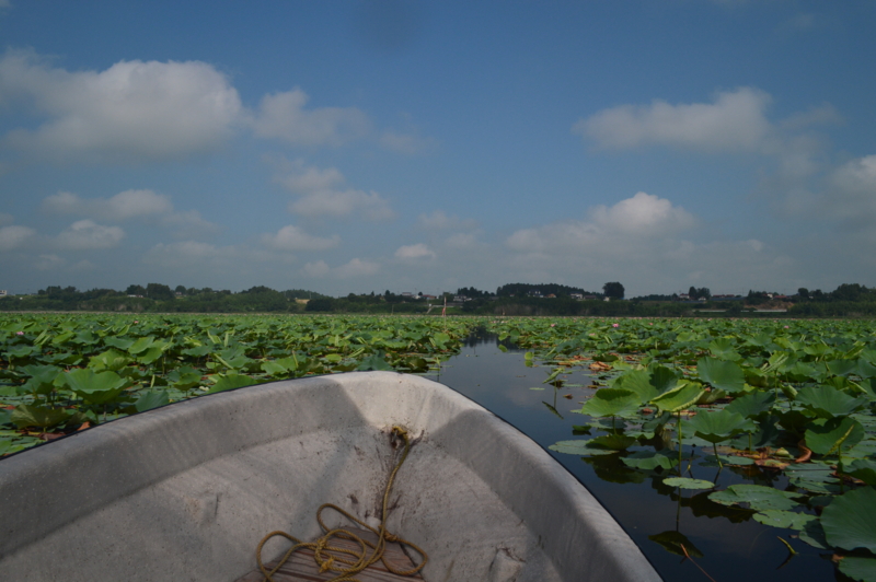 f:id:kazu_ma634:20161004000058j:image:w400