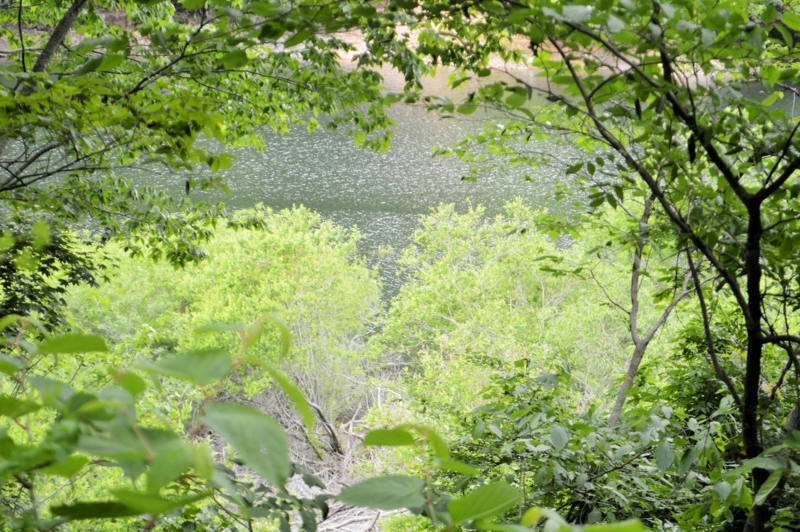 f:id:kazu_ma634:20170729082505j:image:w400