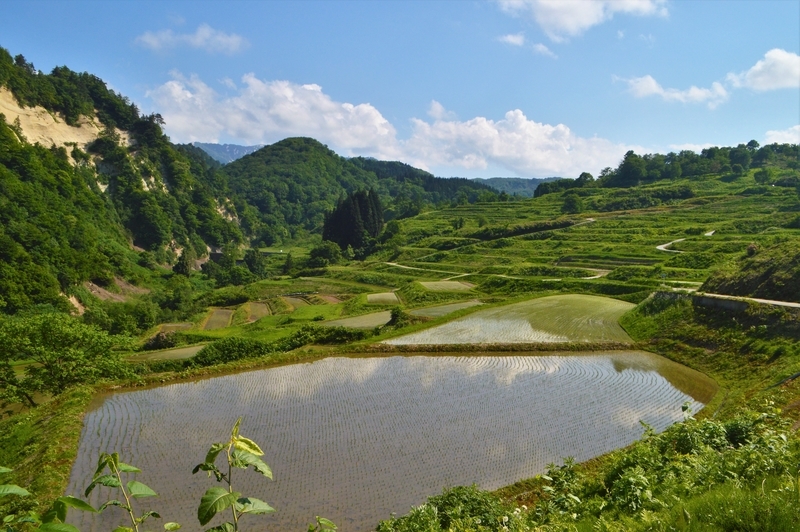 f:id:kazu_ma634:20180908210829j:image:w400