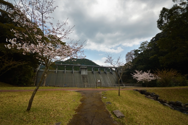 f:id:kazu_ma634:20190611201935j:image:w400