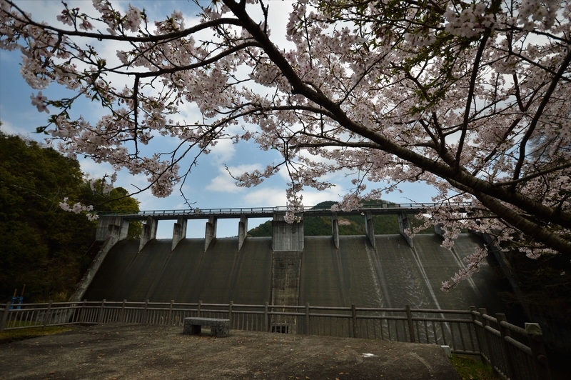 f:id:kazu_ma634:20190611202009j:image:w400