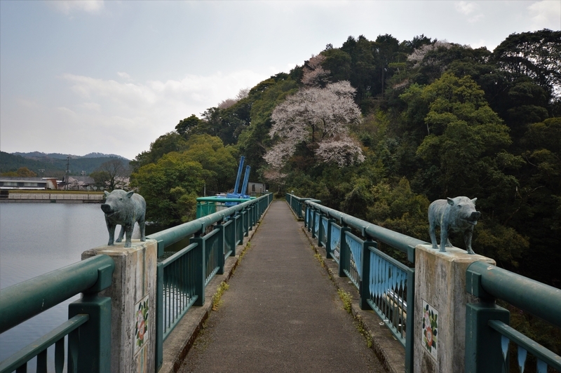 f:id:kazu_ma634:20190611202230j:image:w400