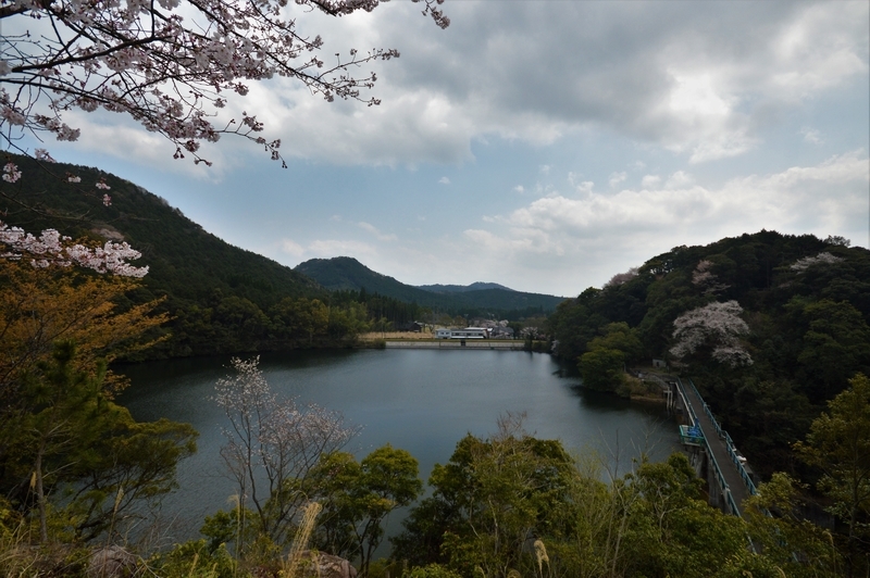 f:id:kazu_ma634:20190611203511j:image:w400