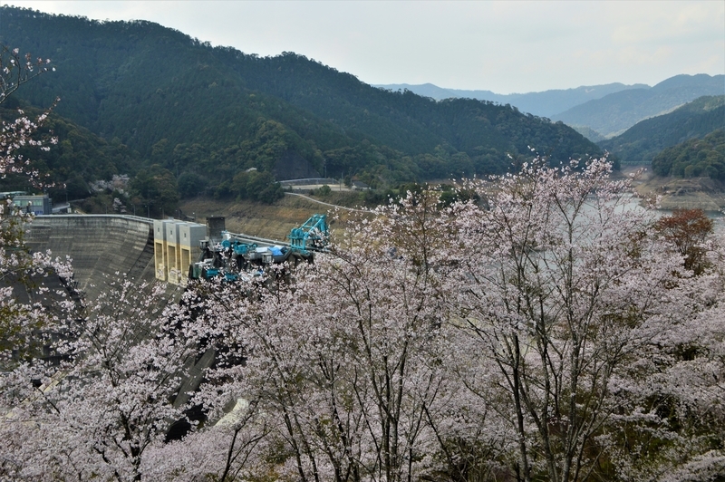 f:id:kazu_ma634:20190618205401j:image:w400