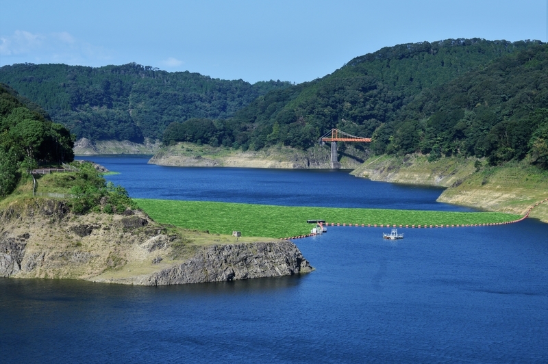f:id:kazu_ma634:20191216184113j:image:w400