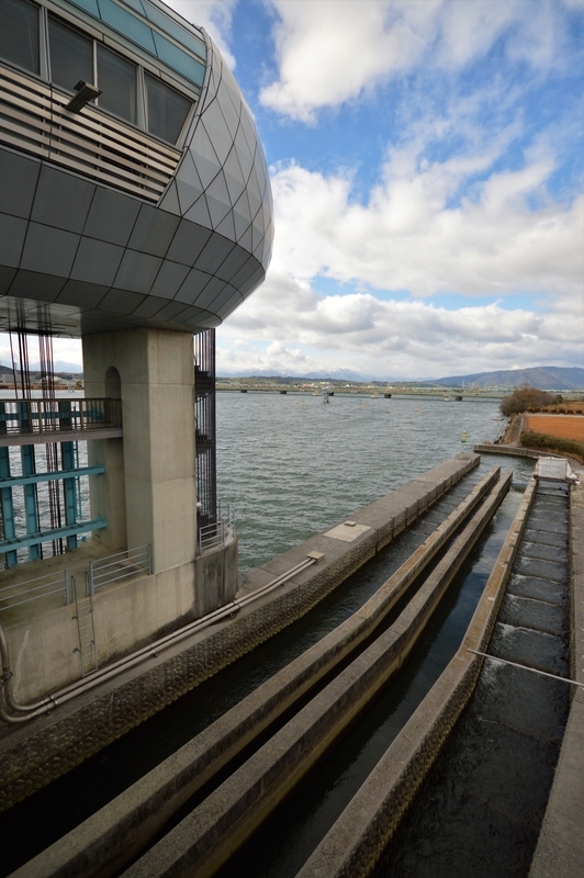 f:id:kazu_ma634:20200318201603j:image:h400