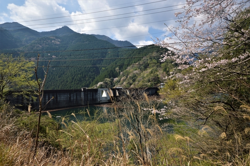 f:id:kazu_ma634:20200725223139j:image:w400