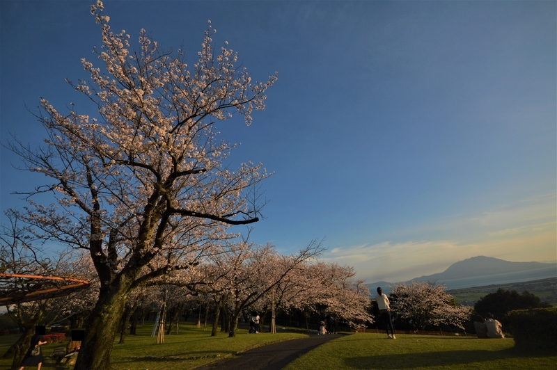 f:id:kazu_ma634:20200730200426j:image:w400