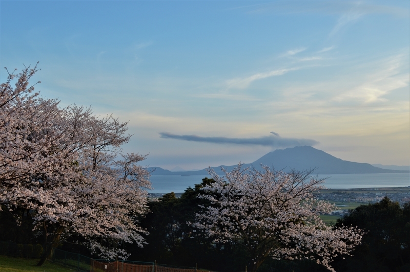 f:id:kazu_ma634:20200730202946j:image:w400